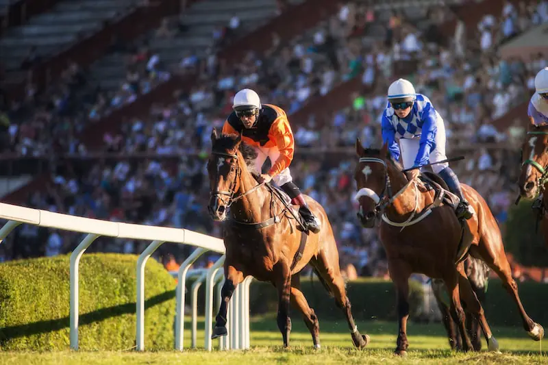 horse racing